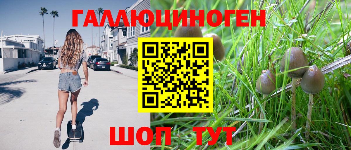 Галлюциногенные грибы Magic Shrooms  Братск 