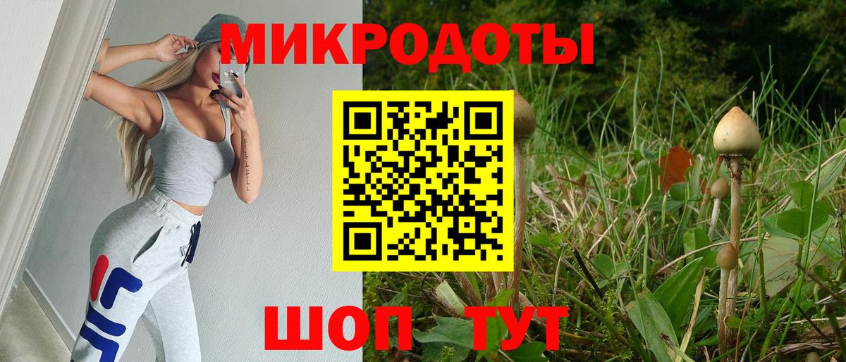Галлюциногенные грибы GOLDEN TEACHER Братск